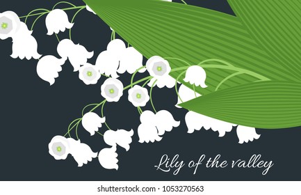 Lily of the Valley. Vector Illustration with Spring Flowers. Beautiful Template with Convallaria Flowers. May Lily in Hipster Style for Spring Design, Card, Greeting, Invitation, Wedding, Poster.