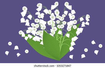 Lily of the Valley. Vector Illustration with Spring Flowers. Beautiful Template with Convallaria Flowers. May Lily in Hipster Style for Spring Design, Card, Greeting, Invitation, Wedding, Poster.