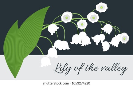 Lily of the Valley. Vector Illustration with Spring Flowers. Beautiful Template with Convallaria Flowers. May Lily in Hipster Style for Spring Design, Card, Greeting, Invitation, Wedding, Poster.