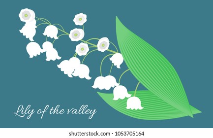 Lily of the Valley. Vector Illustration with Spring Flowers in Pastel Color Design. Template with Convallaria Flowers. May Lily in Hipster Style for Spring Design, Card, Greeting, Wedding, Poster.