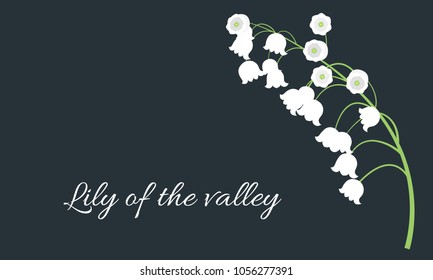 Lily of the Valley. Vector Illustration with Spring Flowers. Beautiful Template with Convallaria Flowers. May Lily in Hipster Style for Spring Design, Card, Greeting, Invitation, Wedding, Poster.