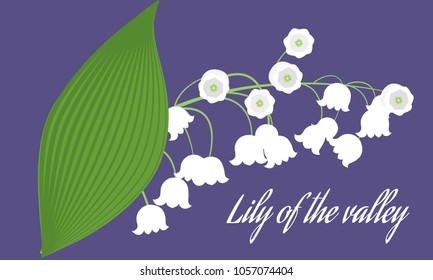 Lily of the Valley. Vector Illustration with Spring Flowers. Beautiful Template with Convallaria Flowers. May Lily in Hipster Style for Spring Design, Card, Greeting, Invitation, Wedding, Poster.