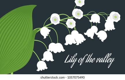 Lily of the Valley. Vector Illustration with Spring Flowers. Beautiful Template with Convallaria Flowers. May Lily in Hipster Style for Spring Design, Card, Greeting, Invitation, Wedding, Poster.