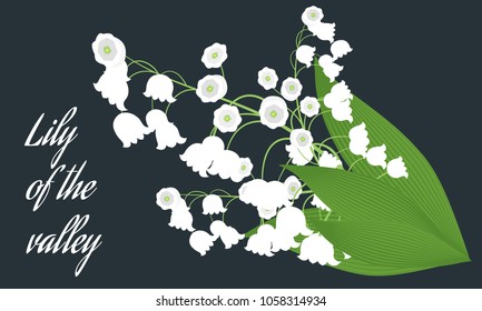Lily of the Valley. Vector Illustration with Spring Flowers. Beautiful Template with Convallaria Flowers. May Lily in Hipster Style for Spring Design, Card, Greeting, Invitation, Wedding, Poster.