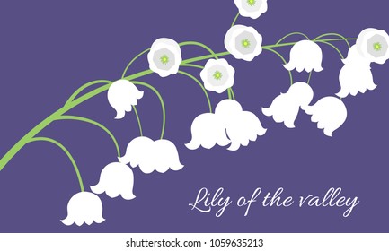 Lily of the Valley. Vector Illustration with Spring Flowers. Beautiful Template with Convallaria Flowers. May Lily in Hipster Style for Spring Design, Card, Greeting, Invitation, Wedding, Poster.