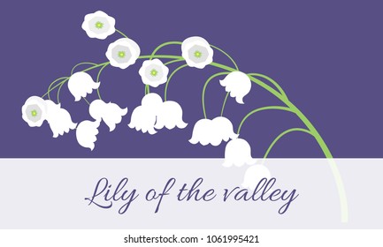 Lily of the Valley. Vector Illustration with Spring Flowers. Beautiful Template with Convallaria Flowers. May Lily in Hipster Style for Spring Design, Card, Greeting, Invitation, Wedding, Poster.