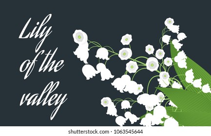 Lily of the Valley. Vector Illustration with Spring Flowers. Beautiful Template with Convallaria Flowers. May Lily in Hipster Style for Spring Design, Card, Greeting, Invitation, Wedding, Poster.