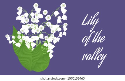 Lily of the Valley. Vector Illustration with Spring Flowers. Beautiful Template with Convallaria Flowers. May Lily in Hipster Style for Spring Design, Card, Greeting, Invitation, Wedding, Poster.
