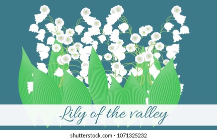 Lily of the Valley. Vector Illustration with Spring Flowers in Pastel Color Design. Template with Convallaria Flowers. May Lily in Hipster Style for Spring Design, Card, Greeting, Wedding, Poster.
