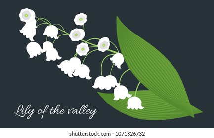 Lily of the Valley. Vector Illustration with Spring Flowers. Beautiful Template with Convallaria Flowers. May Lily in Hipster Style for Spring Design, Card, Greeting, Invitation, Wedding, Poster.
