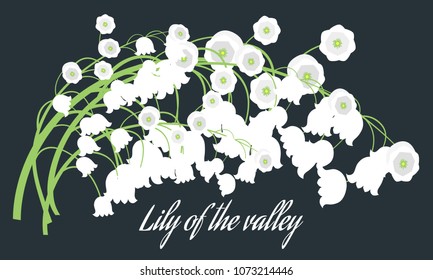 Lily of the Valley. Vector Illustration with Spring Flowers. Beautiful Template with Convallaria Flowers. May Lily in Hipster Style for Spring Design, Card, Greeting, Invitation, Wedding, Poster.