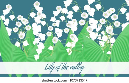 Lily of the Valley. Vector Illustration with Spring Flowers. Beautiful Template with Convallaria Flowers. May Lily in Hipster Style for Spring Design, Card, Greeting, Invitation, Wedding, Poster.
