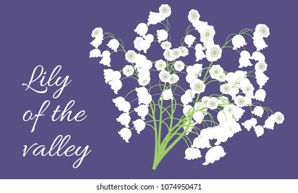 Lily of the Valley. Vector Illustration with Spring Flowers. Beautiful Template with Convallaria Flowers. May Lily in Hipster Style for Spring Design, Card, Greeting, Invitation, Wedding, Poster.