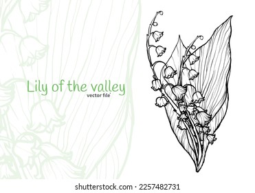 Lily of the valley vector line art for backgrounds, print or online materials. 