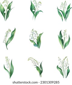 Lily of the valley watercolor vector set. Lily of the valley flowers.
