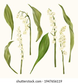 Lily Of The Valley. White flowers, Holidays Floral


