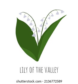 Lily of the valley. Wild flower. Vector illustration.