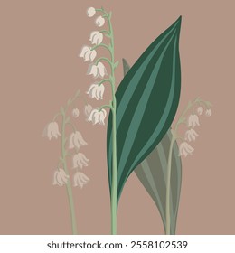 Lily of the valley,Convallaria majalis, vector drawing flowers , floral composition, hand drawn botanical illustration