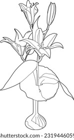 Lily in vase drawing, EPS 10 file