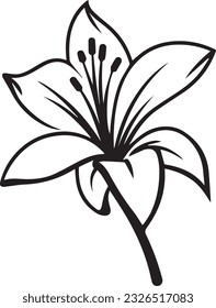 Lily vector, Flower art, drawing