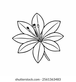 Lily vector illustration. Black and white floral vector illustration of a lily