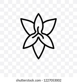 Lily vector linear icon isolated on transparent background, Lily transparency concept can be used for web and mobile