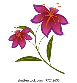 Lily violet