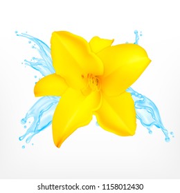 Lily with water splash. Vector icon. EPS10
