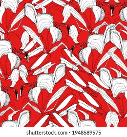 Lily, white lily pattern. Big beautiful flower. manual graphics. coloring book for children and adults, botany, plant element for textile decor and wallpaper, scrapbooking. isolated stock art