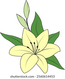 Lily. White lily. Lily is a royal flower that is often present on coats arms and in religious decorations. Symbol of purity and innocence.