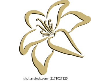 Lily, yelow sketch, flower symbolizing life, patternю Vector illustration of a lilly