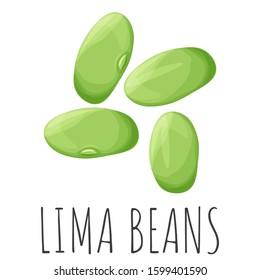 Lima beans vector set, isolated cartoon style illustration.