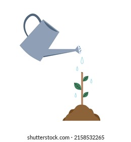 limb sapling. sapling in earth vector. Watering can vector.