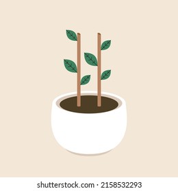 limb sapling. sapling in pot vector.