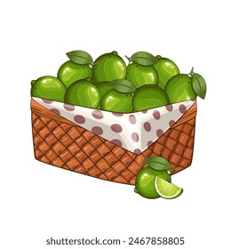 Lime Basket. Basket of fruits vector illustration. Organic design concept. Hand Drawn Vector fruits collection. Basket with fruits. Farm products.