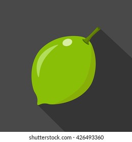 Lime cartoon flat icon.Dark background. Vector illustration.