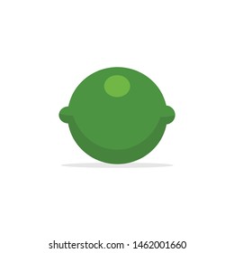Lime citric fruit vector illustration. Flat style design.