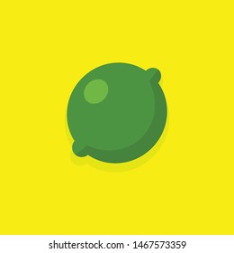 Lime citric fruit vector illustration. Flat style design.