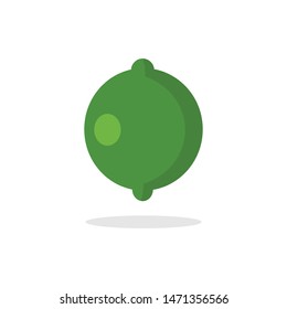 Lime citric fruit vector illustration. Flat style design.