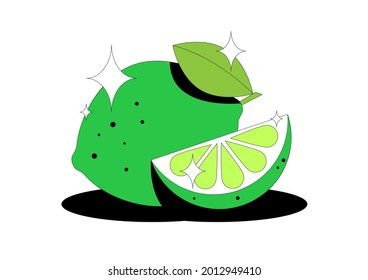 Cítricos. С secar y hojas con lima de fruta aislada sobre fondo blanco. Para el diseño de embalajes, publicidad de detergentes, caramelos, alimentos, para cubierta, impresión. Ilustración vectorial.