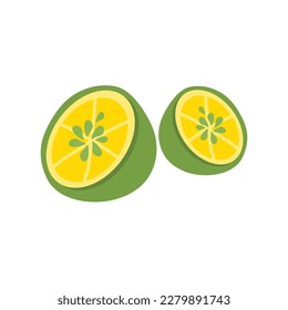 lime citrus slice jeruk nipis ilustración