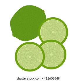 lime, citrus. Vector illustration isolated on white background