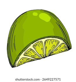 Lime. Colorful sketch collection of citrus fruits isolated on white background. Doodle hand drawn vegetables. Vector illustration
