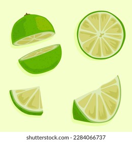 Lime cut in half and its slices with peel. Hand drawn vector image. Fresh citruses. Summer food.