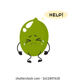 Lime, cute, attractive, character with emotion, crying, tears. Vector illustration. For packaging, brochures, advertising, design, banner, label.