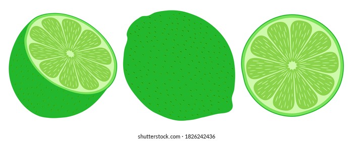 Lime from different angles. Whole and cut in half fruit. Isolated on white background. Vector illustration.