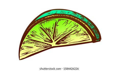 Lime Exotic Citrus Cut Slice Color Vector. Natural Juicy Sour Lime. Fresh Ripe Tropical Lemon Engraving Concept Template Hand Drawn In Vintage Style Illustration