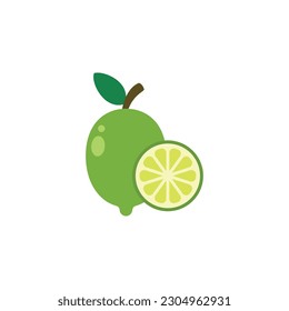 Lime In Flat Icon Style Isolated on a White Background - Fruits Icon Vector Illustration. 