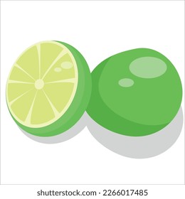 lime flat illustration design with two limes still intact and open then there is a shadow of the fruit