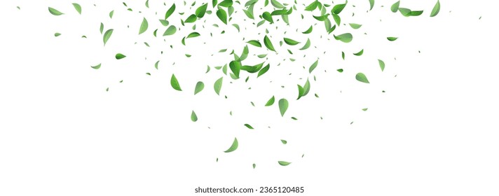 Lime Foliage Abstract Vector Panoramic White Background Design. Motion Greens Illustration. Forest Leaf Fly Branch. Leaves Realistic Concept.